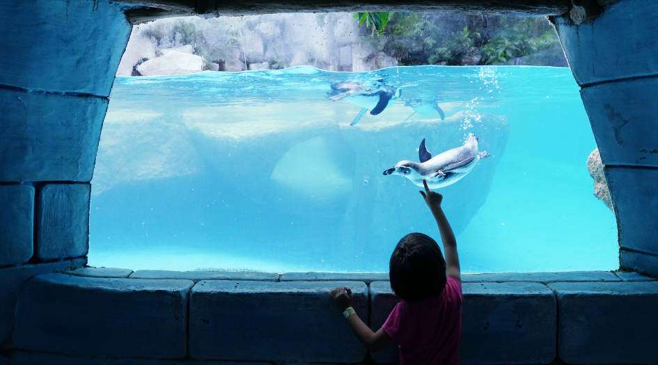 SeaWorld Orlando