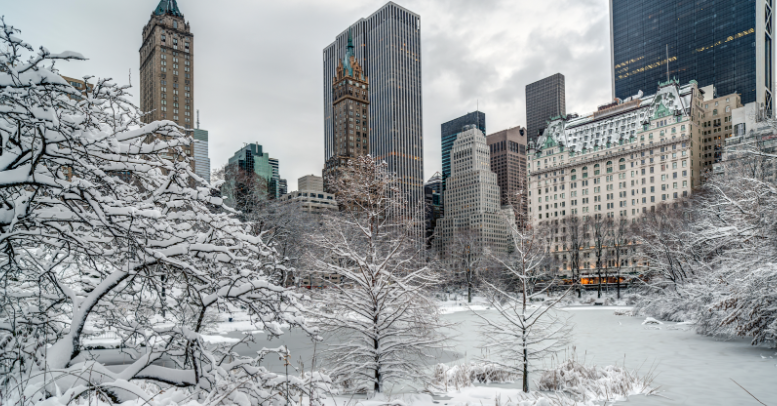 Central Park NY